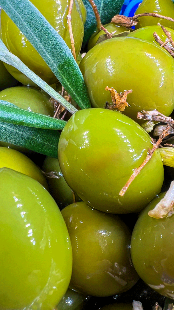 Aceitunas de campo real que están junto con ramas de olivo