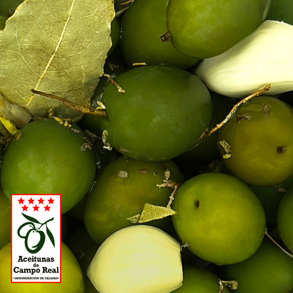 Aceitunas de Campo Real con el sello de la Denominación de Calidad en Primer plano, mostrando su color verde caracteristico.